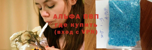 крисы Алексин
