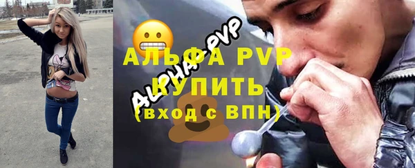 крисы Алексин
