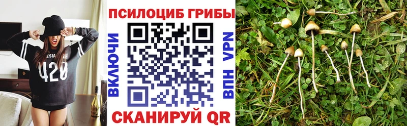 Галлюциногенные грибы мухоморы  купить   Бобров 